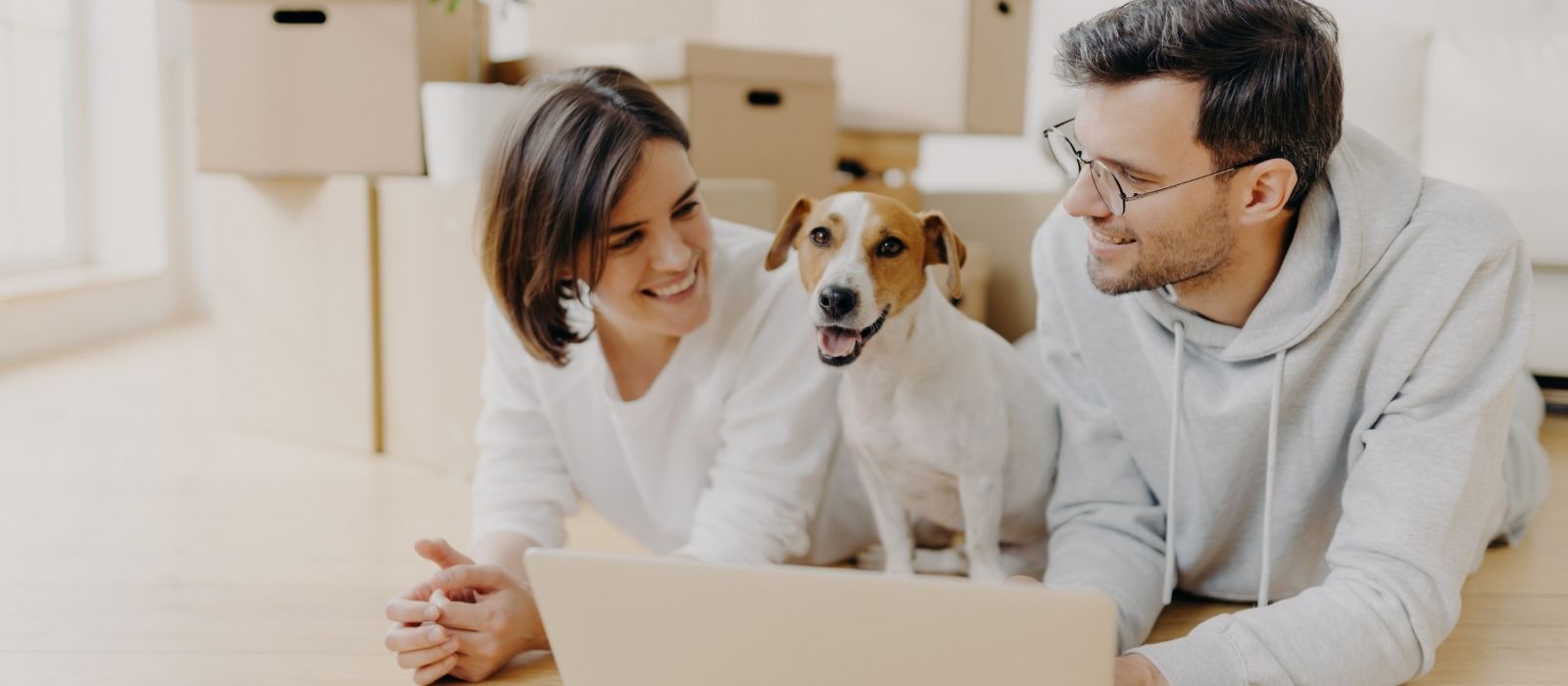 moving between provinces with pets quebec