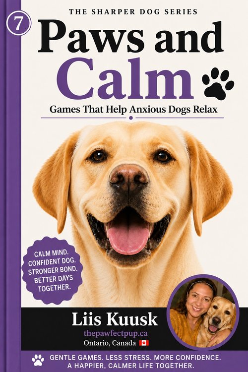 Paws and Calm: Games That Help Anxious Dogs Relax